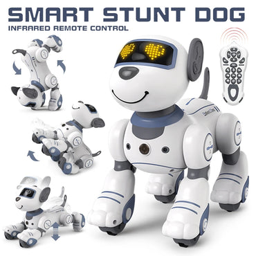 Robot Dog