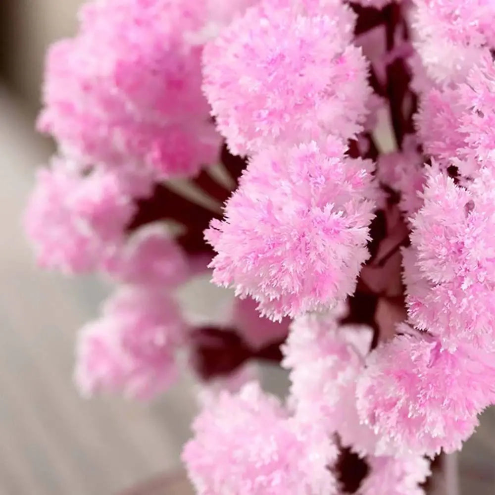 Árvore Mágica Sakura