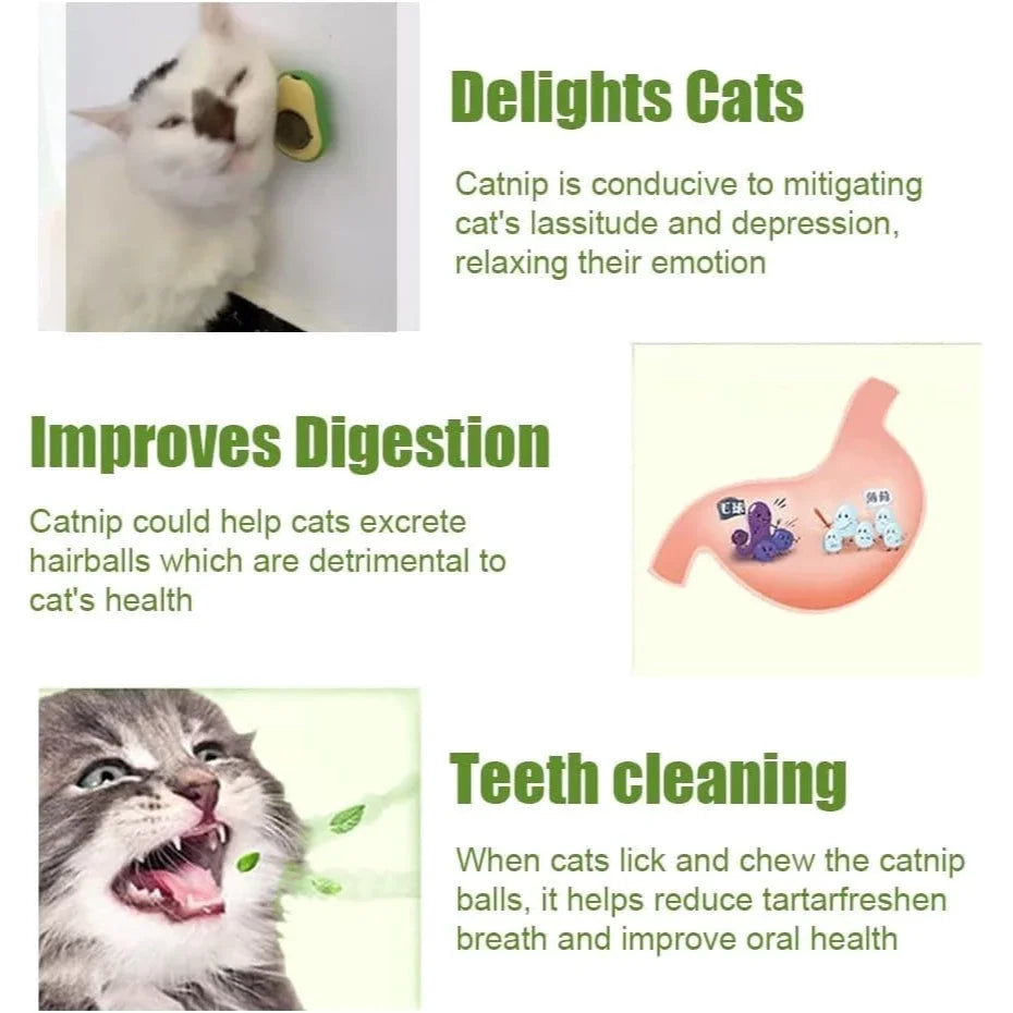 Abacate De Brinquedo Para Gatos Com Catnip Erva Gato Natural Bola de Lamber Limpeza dos Dentes Lanche