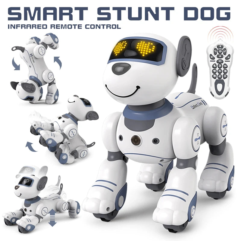 Robot Dog
