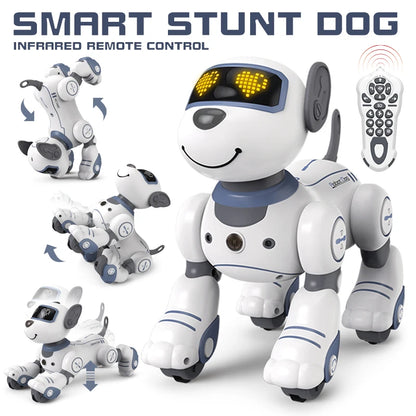 Robot Dog